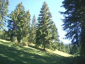 vakáció a hegyekben, programok